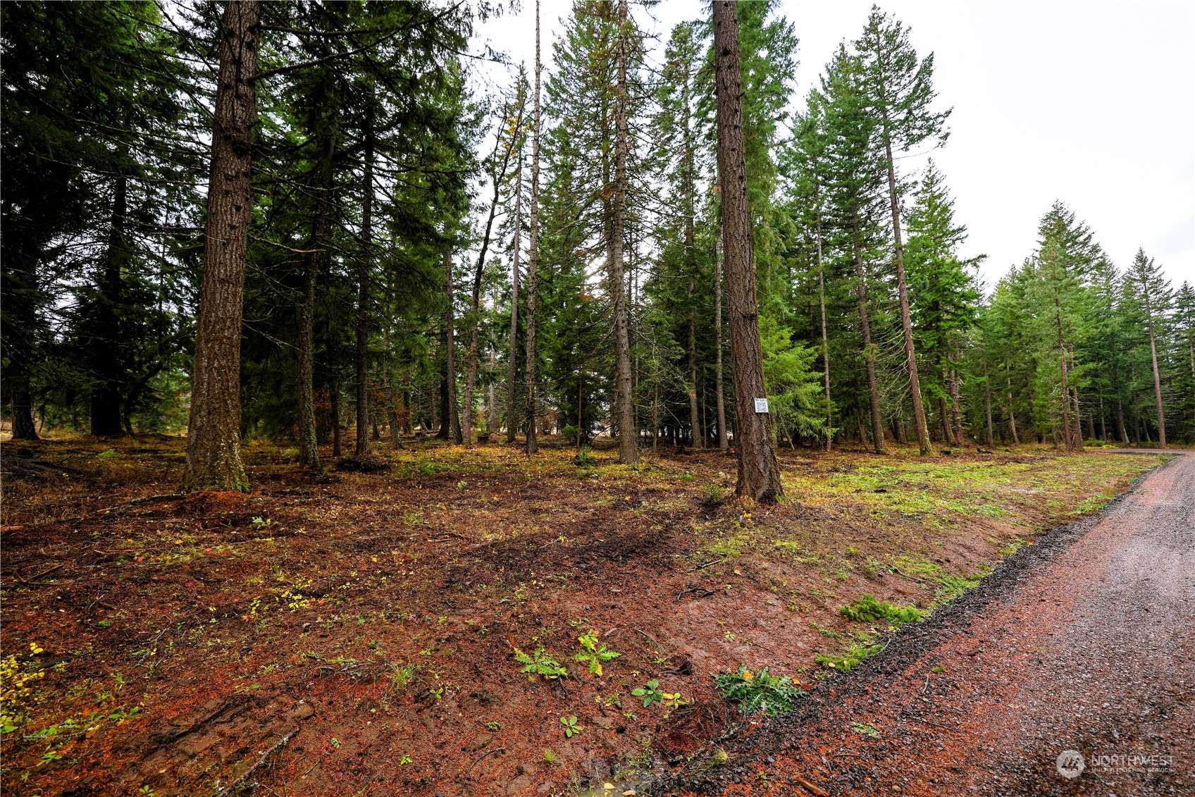 Cle Elum, WA 98922,0 NVLot 3 Nelson View WAY