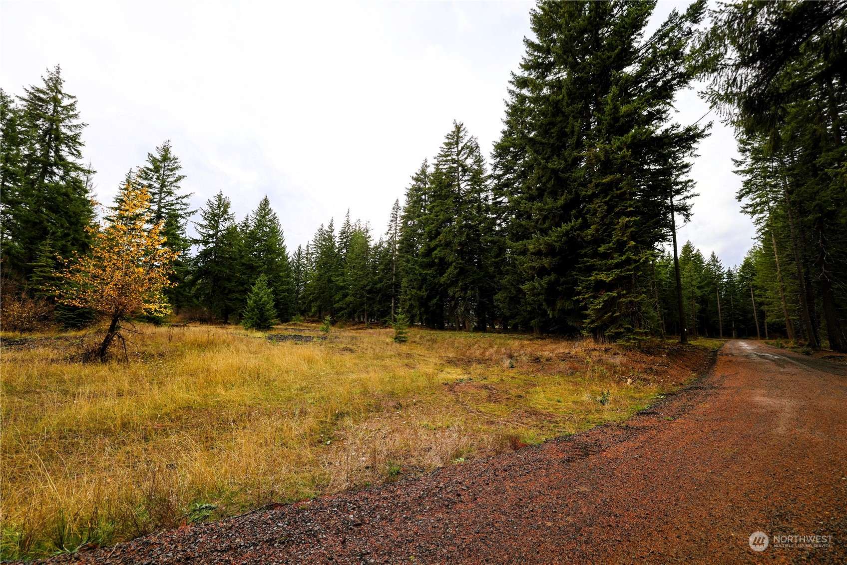 Cle Elum, WA 98922,0 NVLot 3 Nelson View WAY