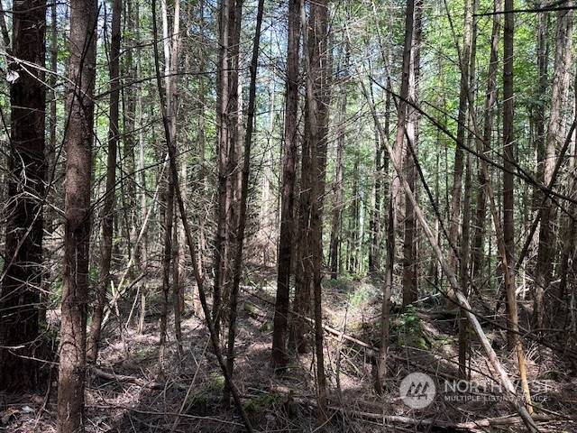 Sequim, WA 98382,1 Lot Sunny Dell Lane