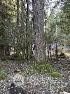 Greenwater, WA 98022,58610 Lumpy LN E