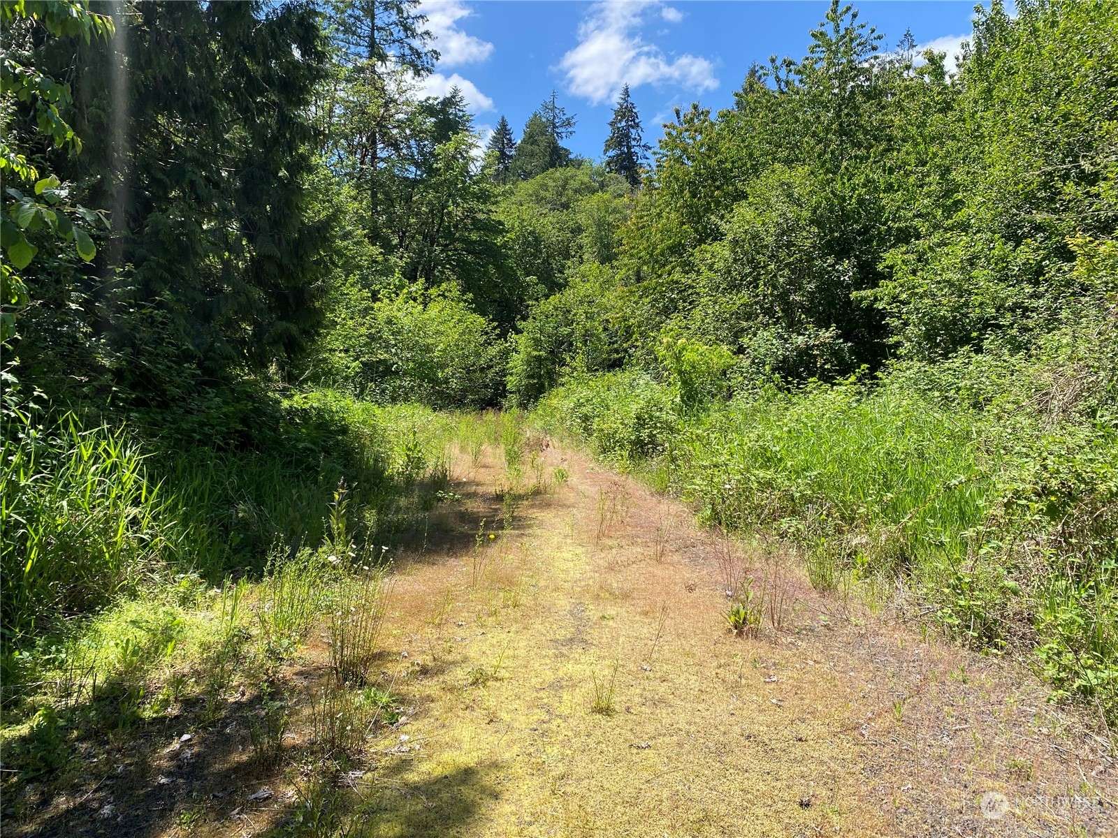 Winlock, WA 98596,0 LOT 2 Roe RD