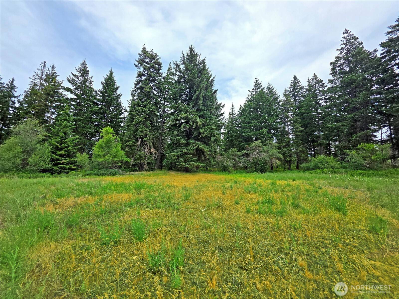Cle Elum, WA 98922,0 NVLot 1 Nelson View WAY