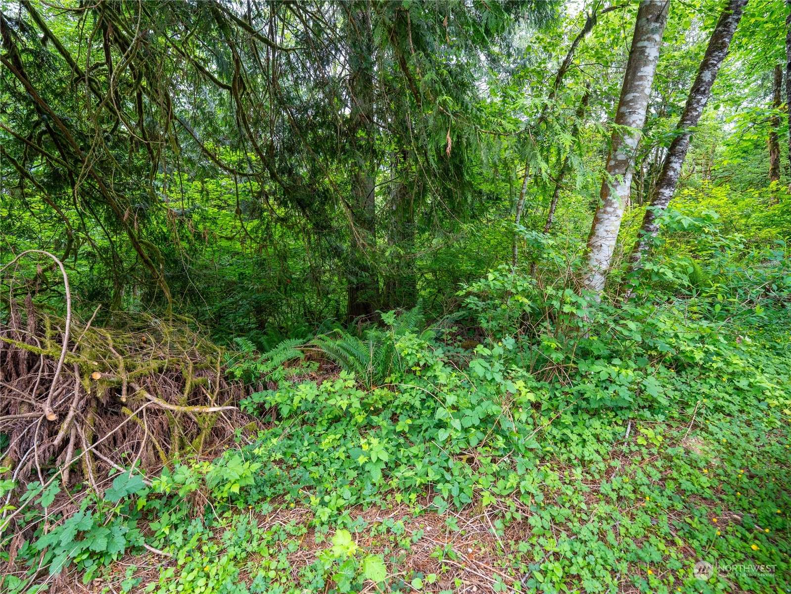 Arlington, WA 98223,3 Lot 125th AVE NE