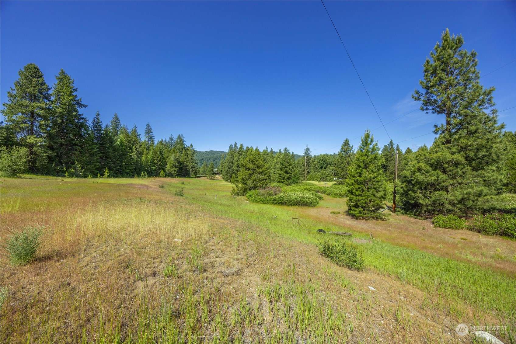 Leavenworth, WA 98826,20106 Shugart Flats RD