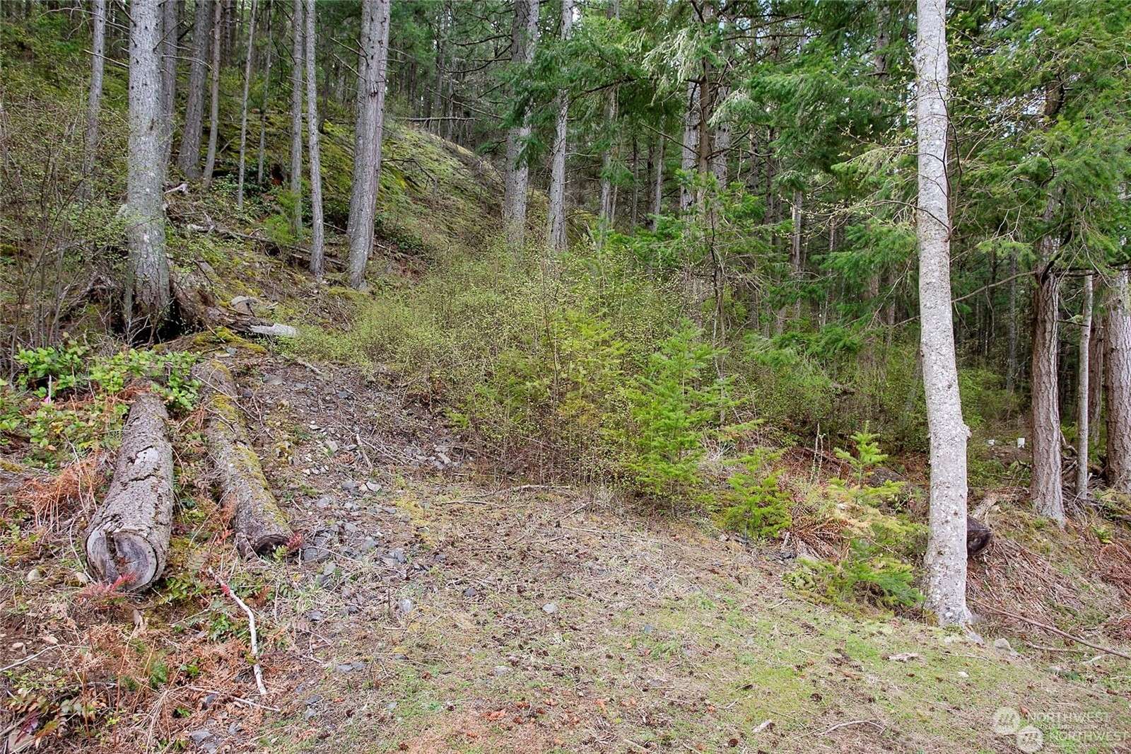 Lummi Island, WA 98262,3075 Hales Passage DR #Lot 4