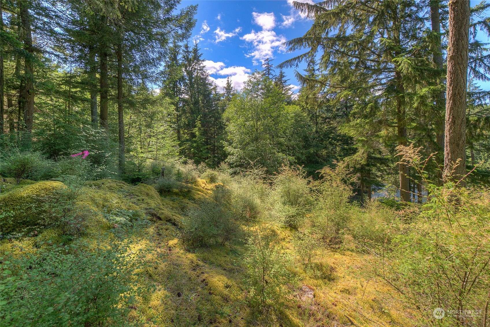 Orcas Island, WA 98280,212 Eagle Lake LN