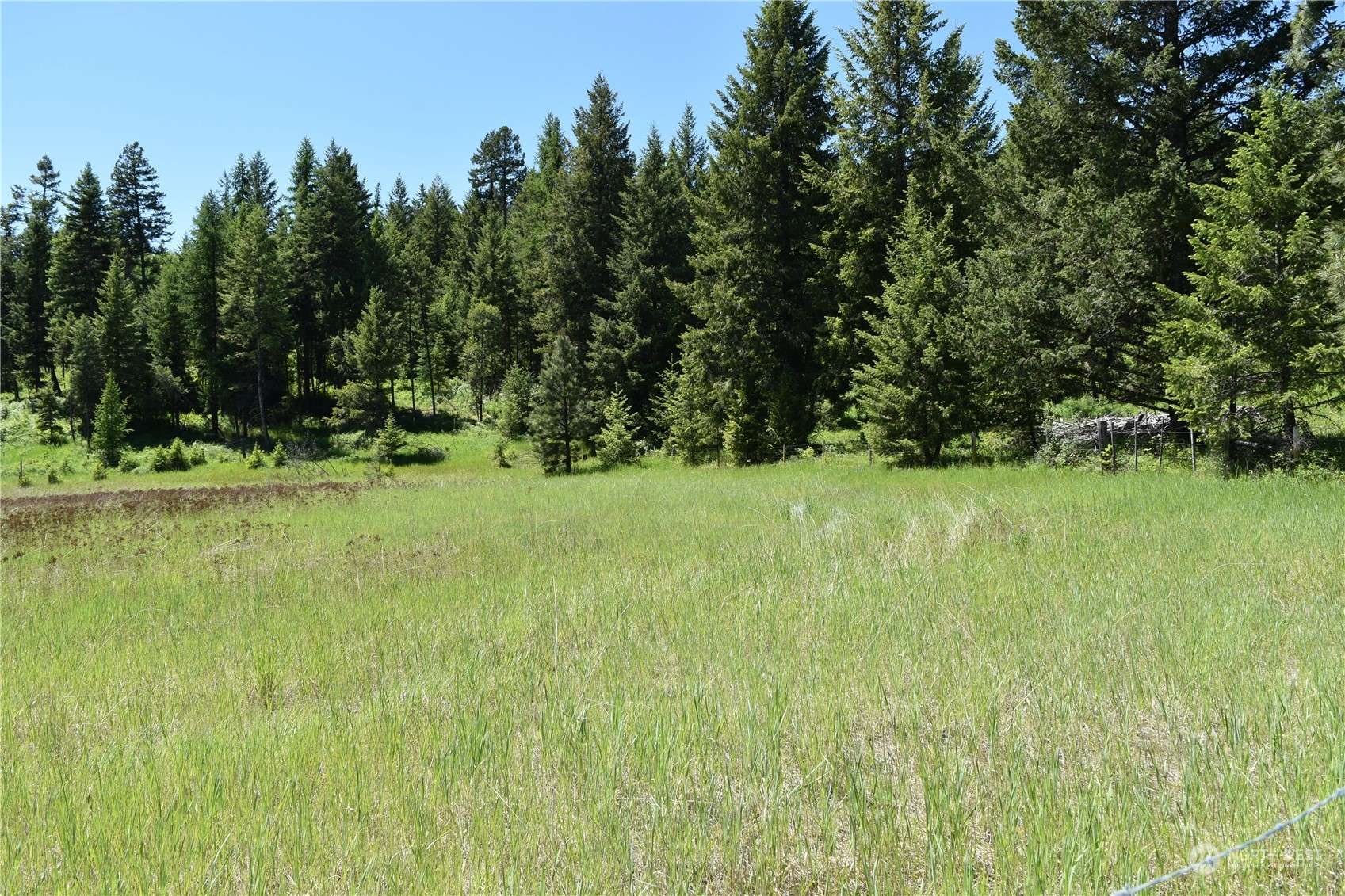 Malo, WA 99250,0 TBD McQuinn RD