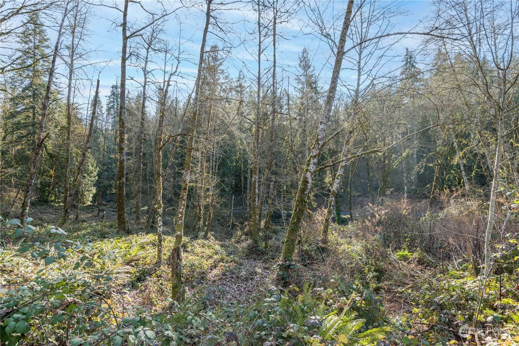 Longview, WA 98632,133 Justin PL