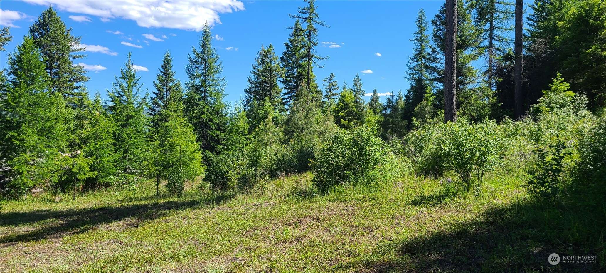 Republic, WA 99166,0 Lot 1` Old Kettle Falls RD