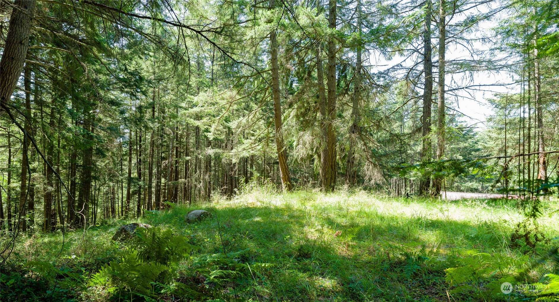 Orcas Island, WA 98280,0 Lot1-Tall Trees-Rosario Hlands