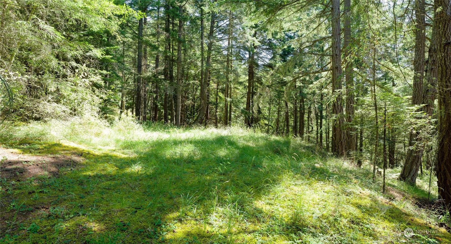 Orcas Island, WA 98280,0 Lot1-Tall Trees-Rosario Hlands