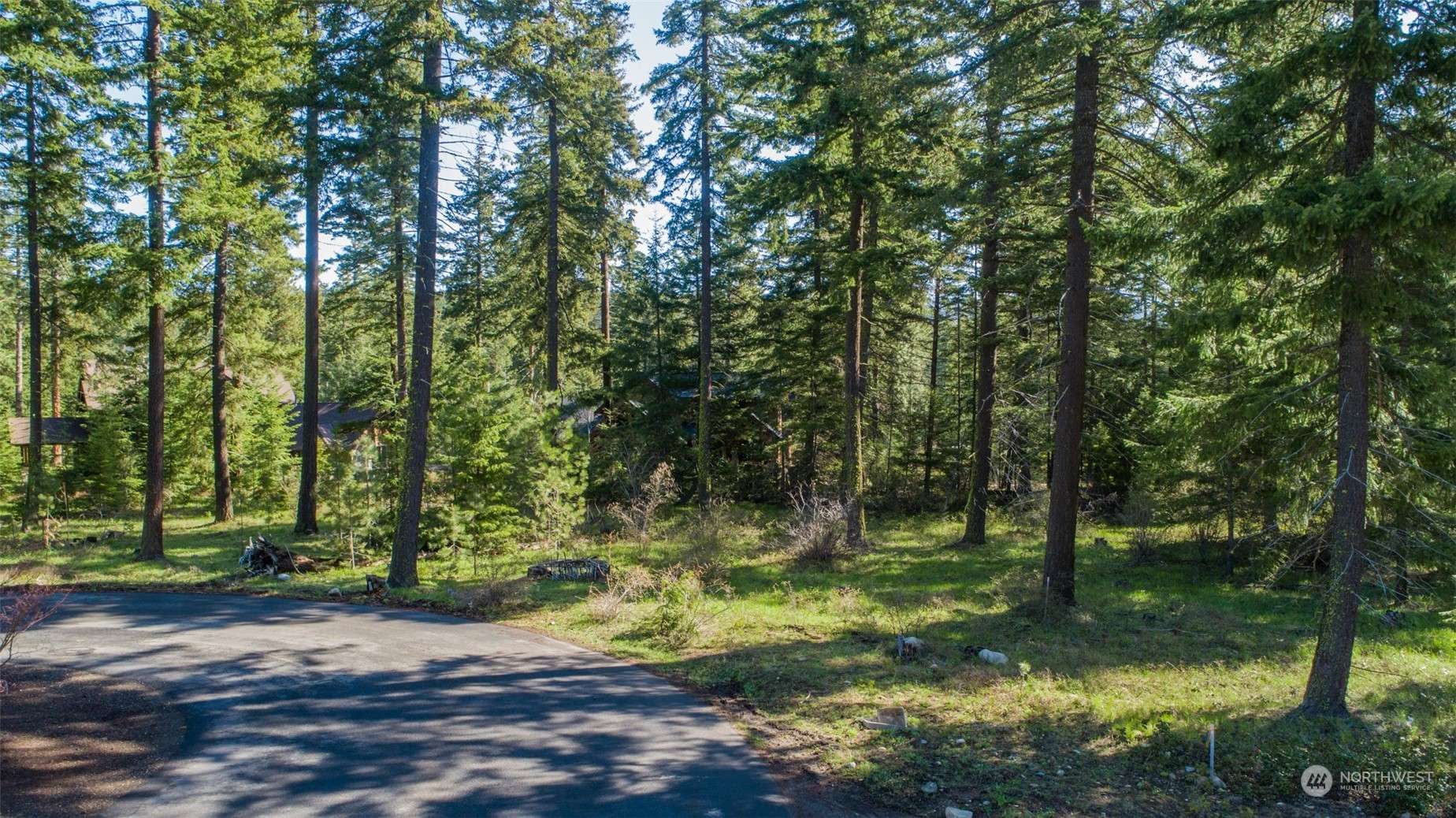 Cle Elum, WA 98922,40 Blackberry CT