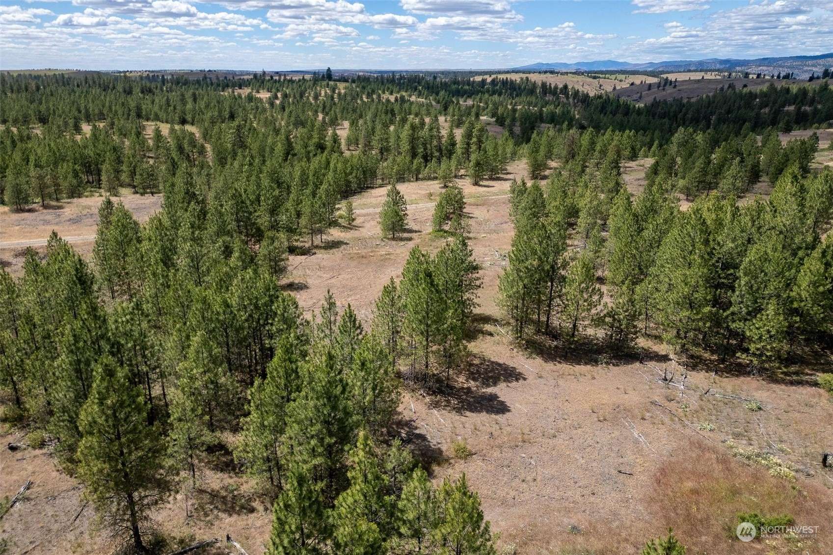 Creston, WA 99117,5 Lot Prairie Lane