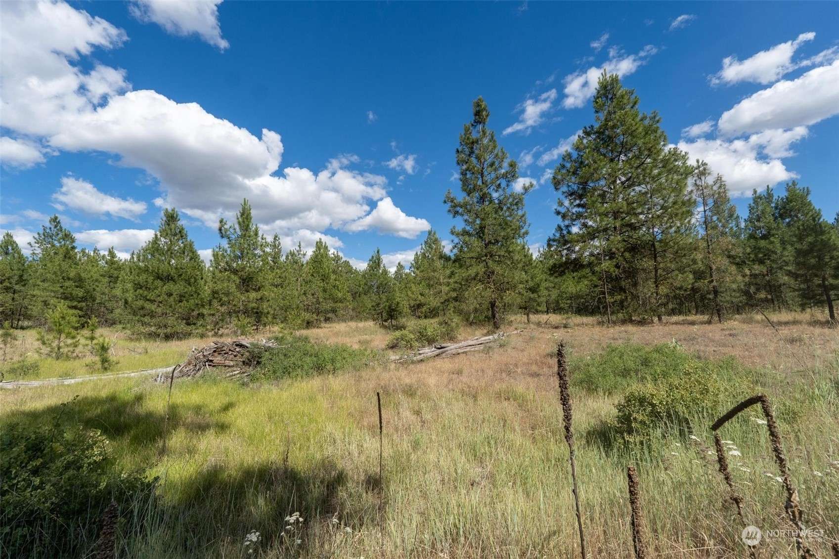 Creston, WA 99117,4 Lot Prairie Lane