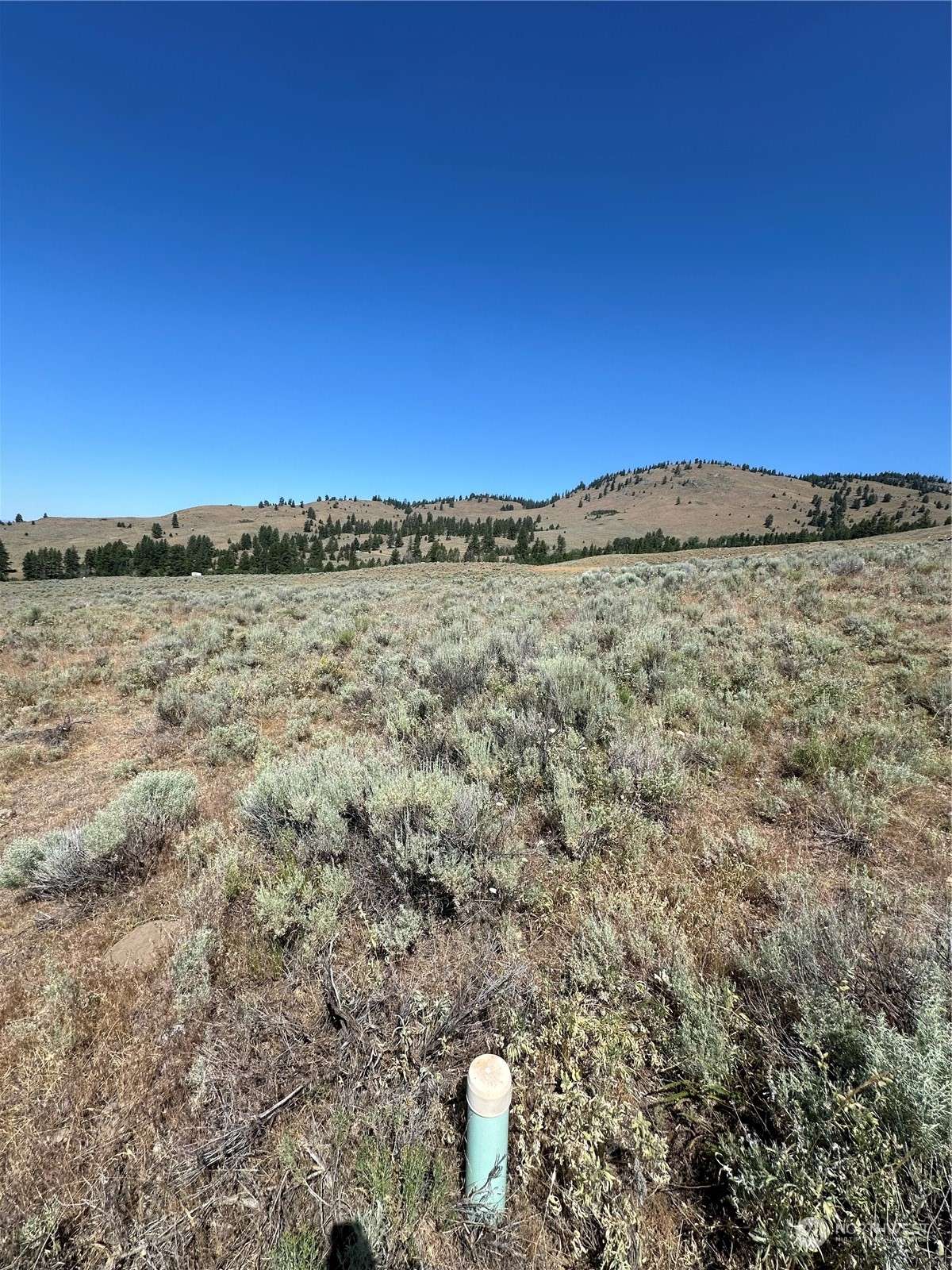 Tonasket, WA 98855,25 Harvest Moon LN