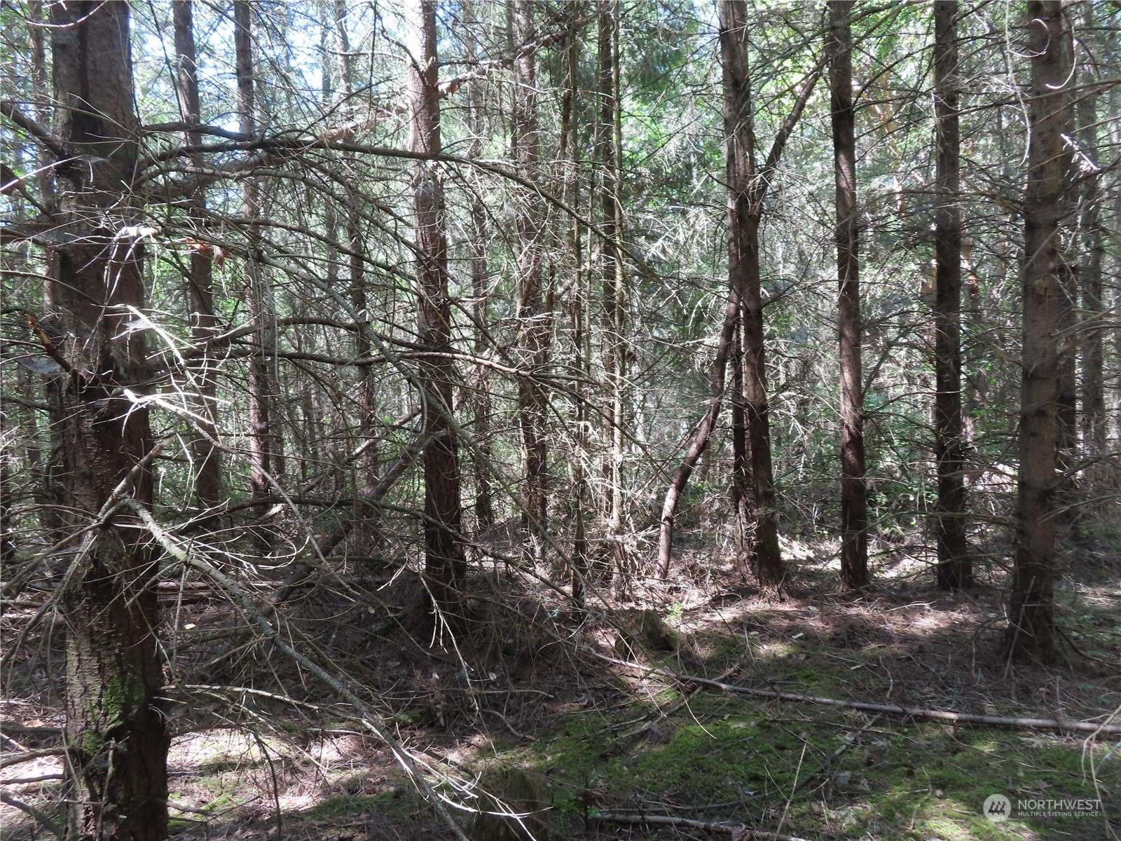 Eatonville, WA 98328,0 XXX Lot 66 37th AVE E