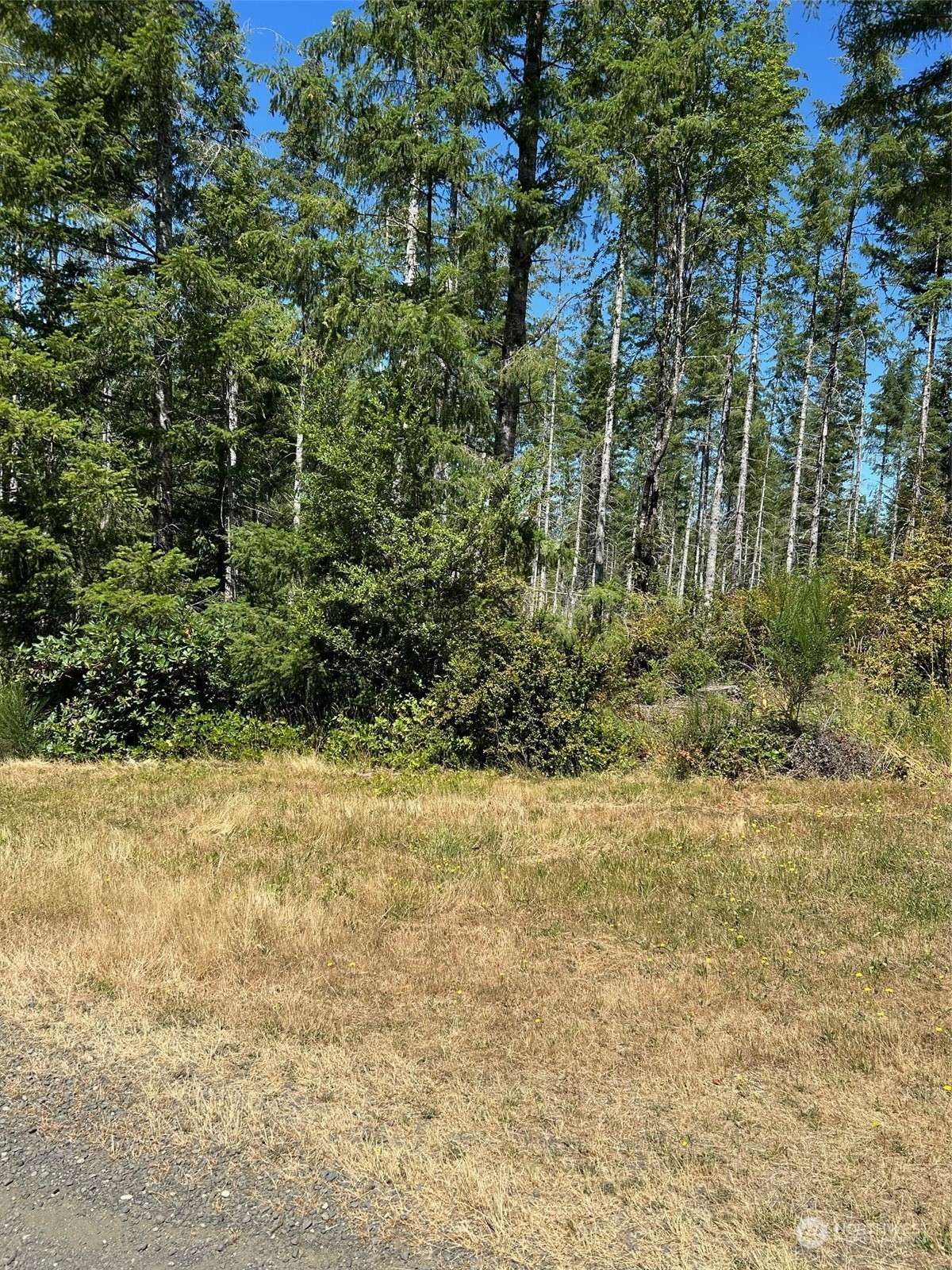 Belfair, WA 98528,500 E Morris Creek DR