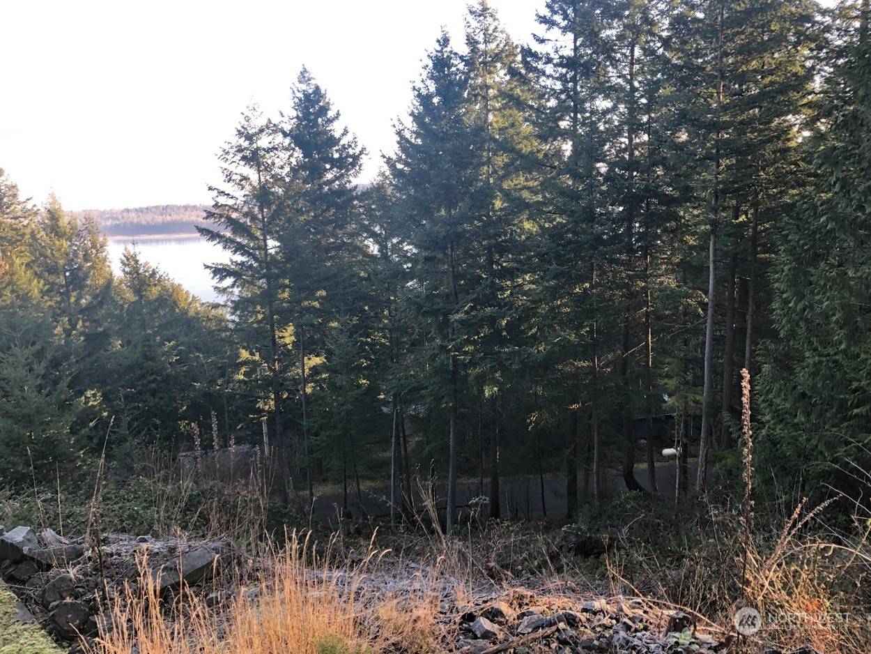 Lummi Island, WA 98262,2948 Dogwood TER