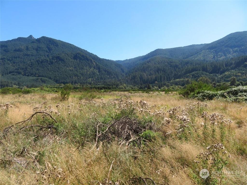 Randle, WA 98377,295 River Ranch RD