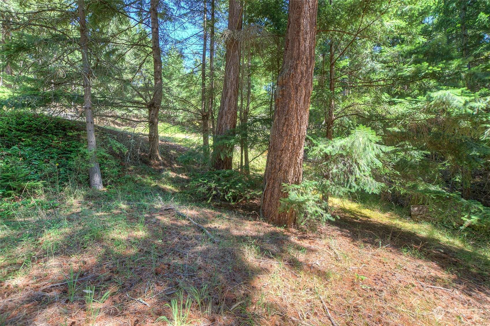 Orcas Island, WA 98245,63 Marina Heights LN