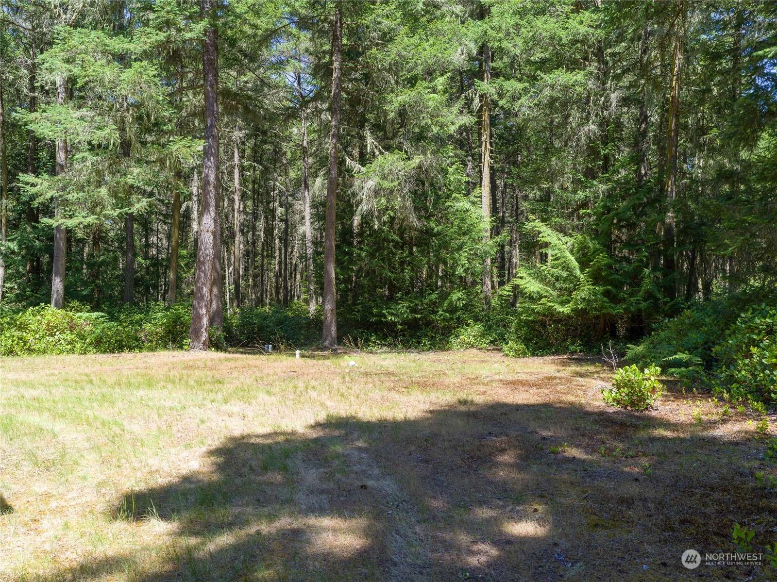 Lopez Island, WA 98261,263 Francis LN