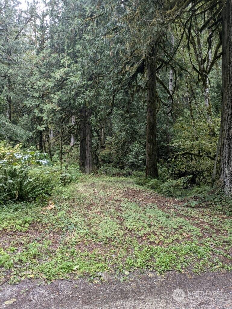 Marblemount, WA 98267,0 Cascade Park D1-68 PL #D1L68