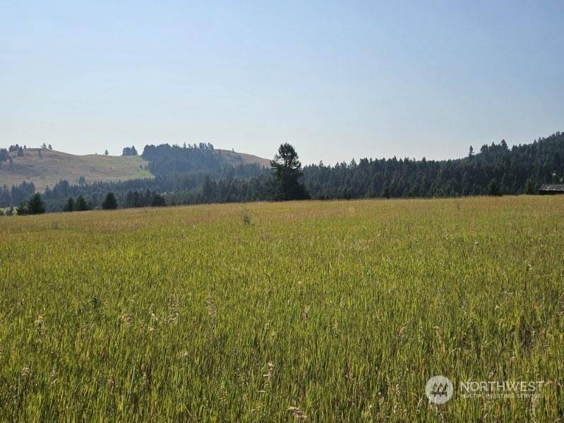 Oroville, WA 98844,35 Moose Mountain RD #Lot J