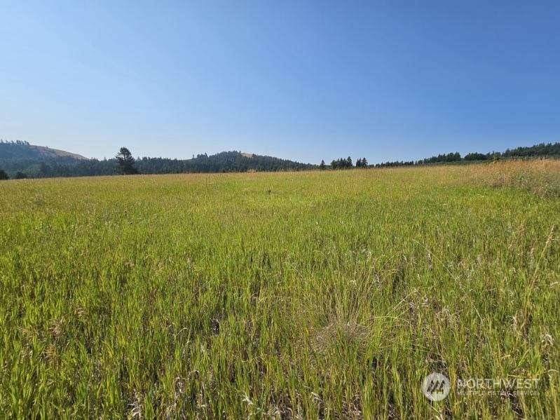 Oroville, WA 98844,35 Moose Mountain RD #Lot J