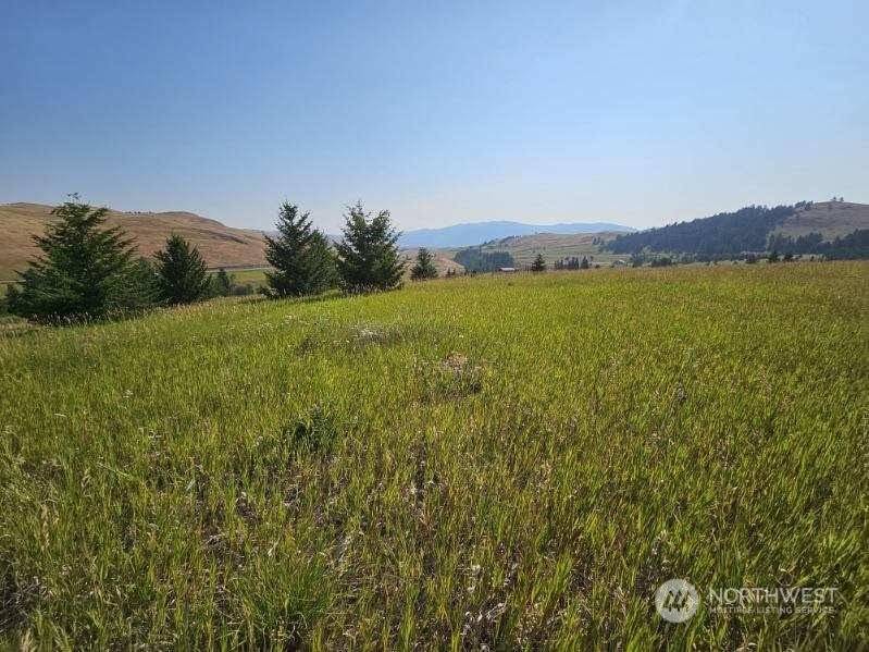 Oroville, WA 98844,35 Moose Mountain RD #Lot J