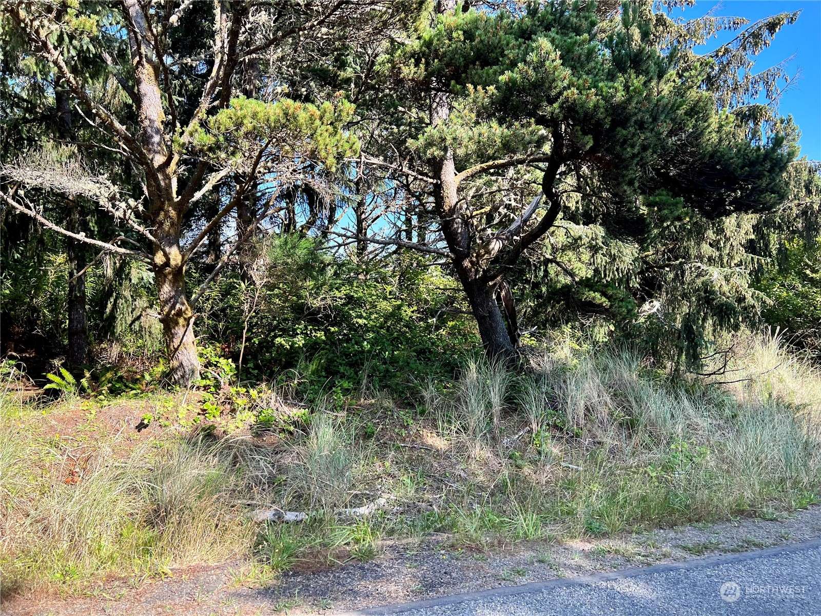 Westport, WA 98595,1851 Hoquiam LN S