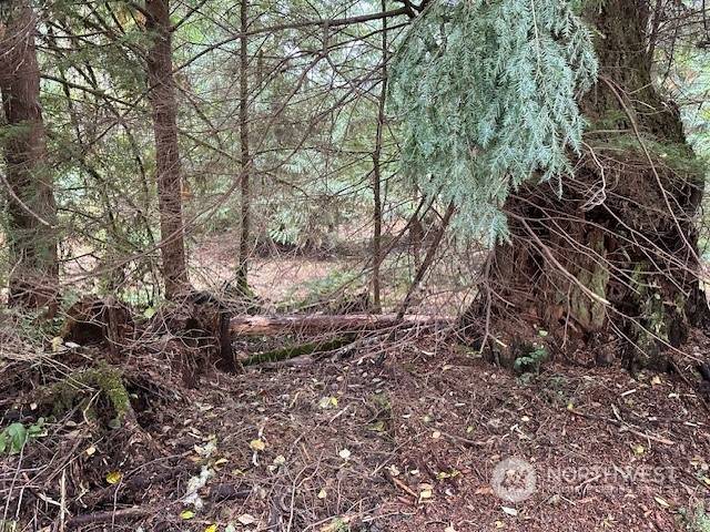 Port Orchard, WA 98367,7988 Bethel Burley RD SE