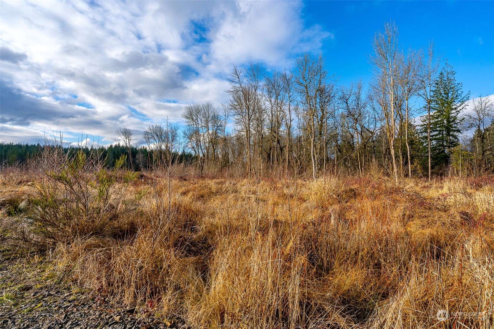 Chehalis, WA 98532,0 Highway 12 #Lot 2