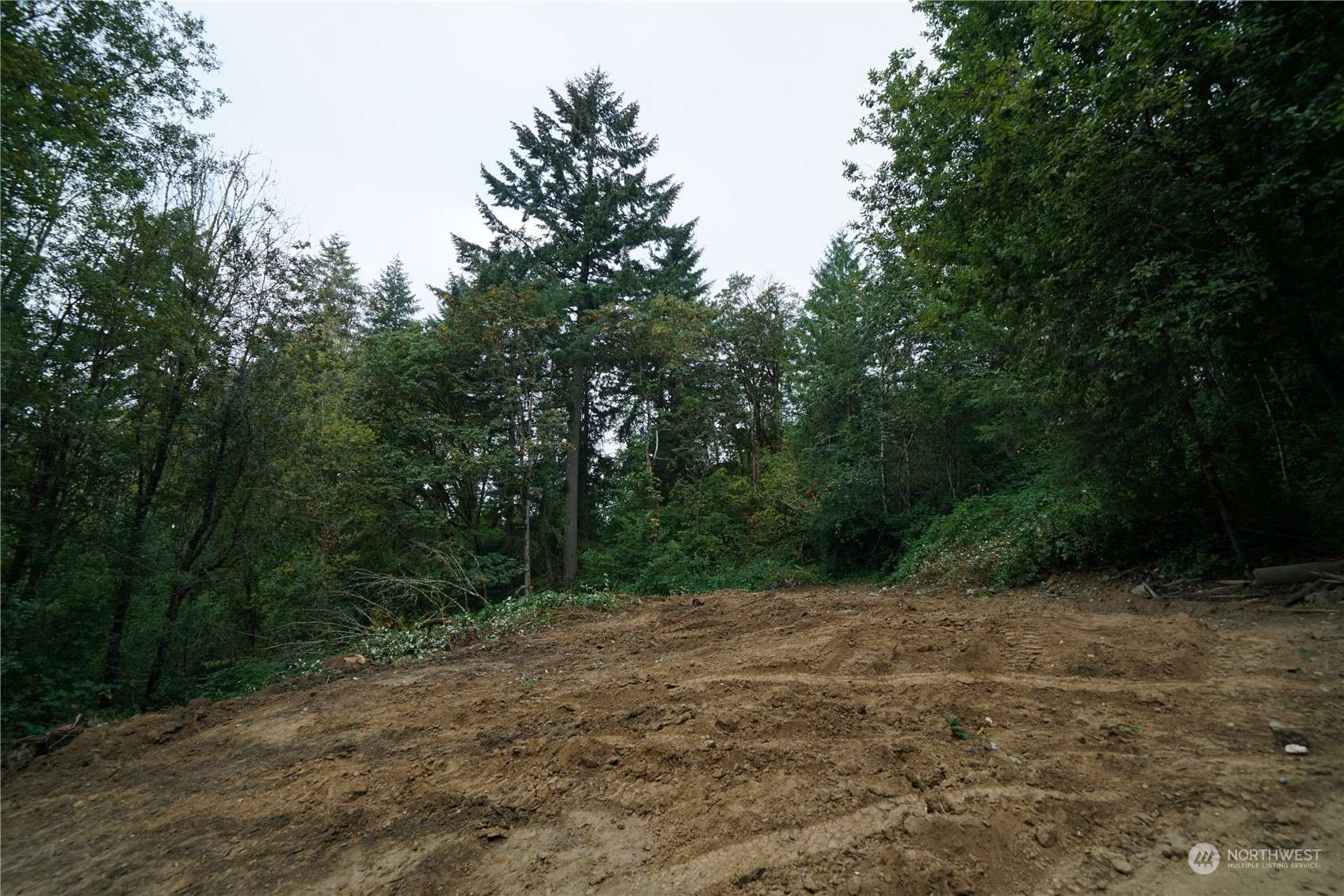 Longview, WA 98632,3938 Sunset WAY