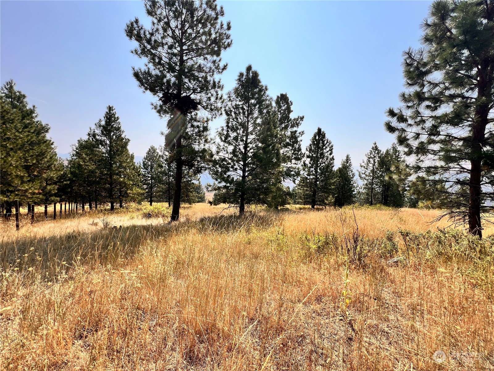 Curlew, WA 99118,0 TBD Honeysuckle LN