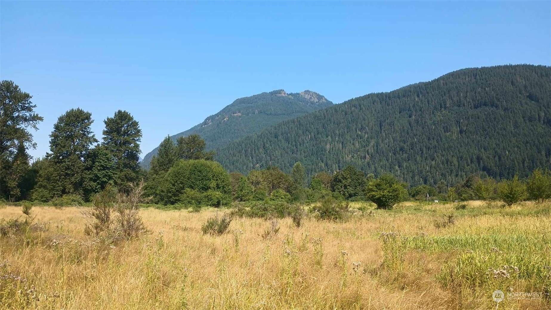 Randle, WA 98377,0 Lot B9C Lone Tree RD