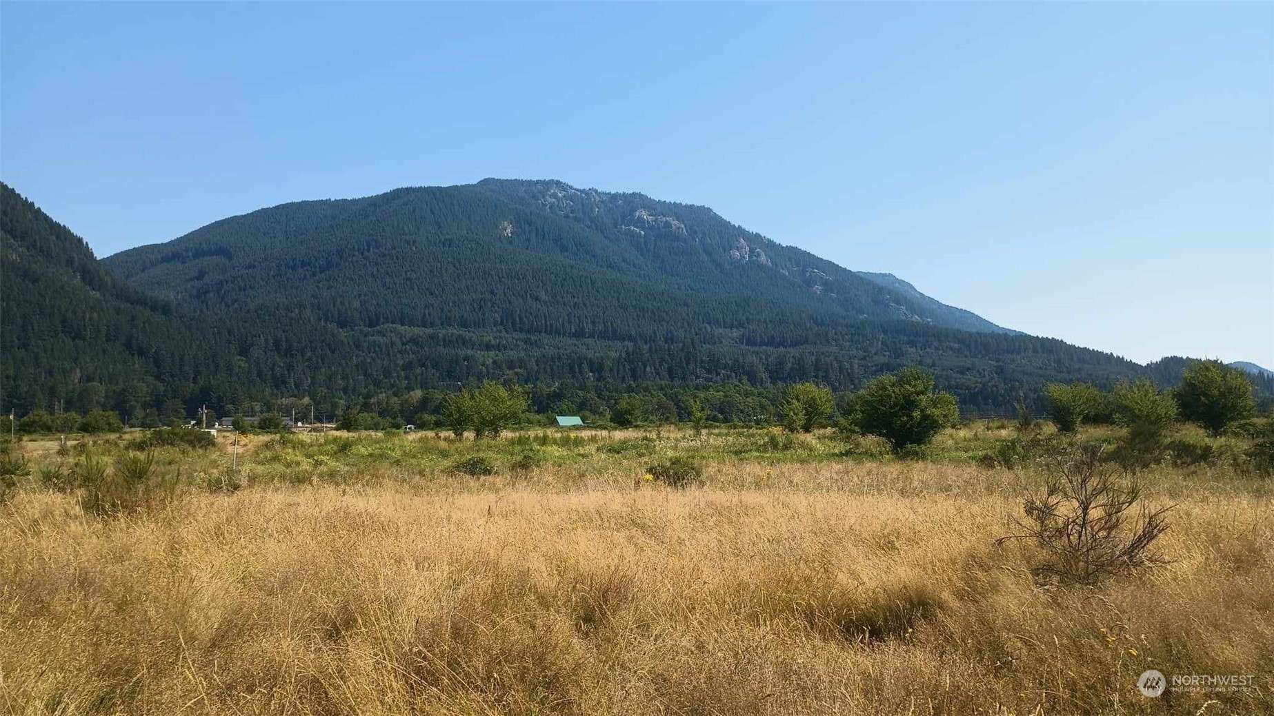 Randle, WA 98377,0 Lot B8C Lone Tree RD