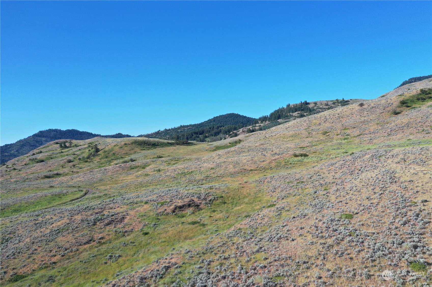 Oroville, WA 98844,2222 TBD Ellemeham Mtn Rd