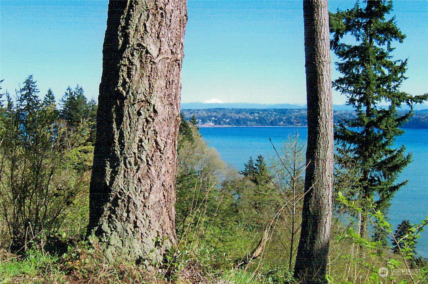 Camano Island, WA 98282,4081 SE Camano DR