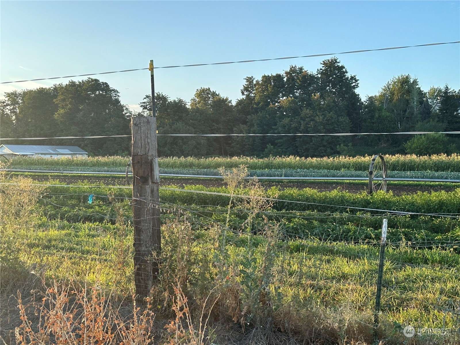 College Place, WA 99324,421 SW 12 ST