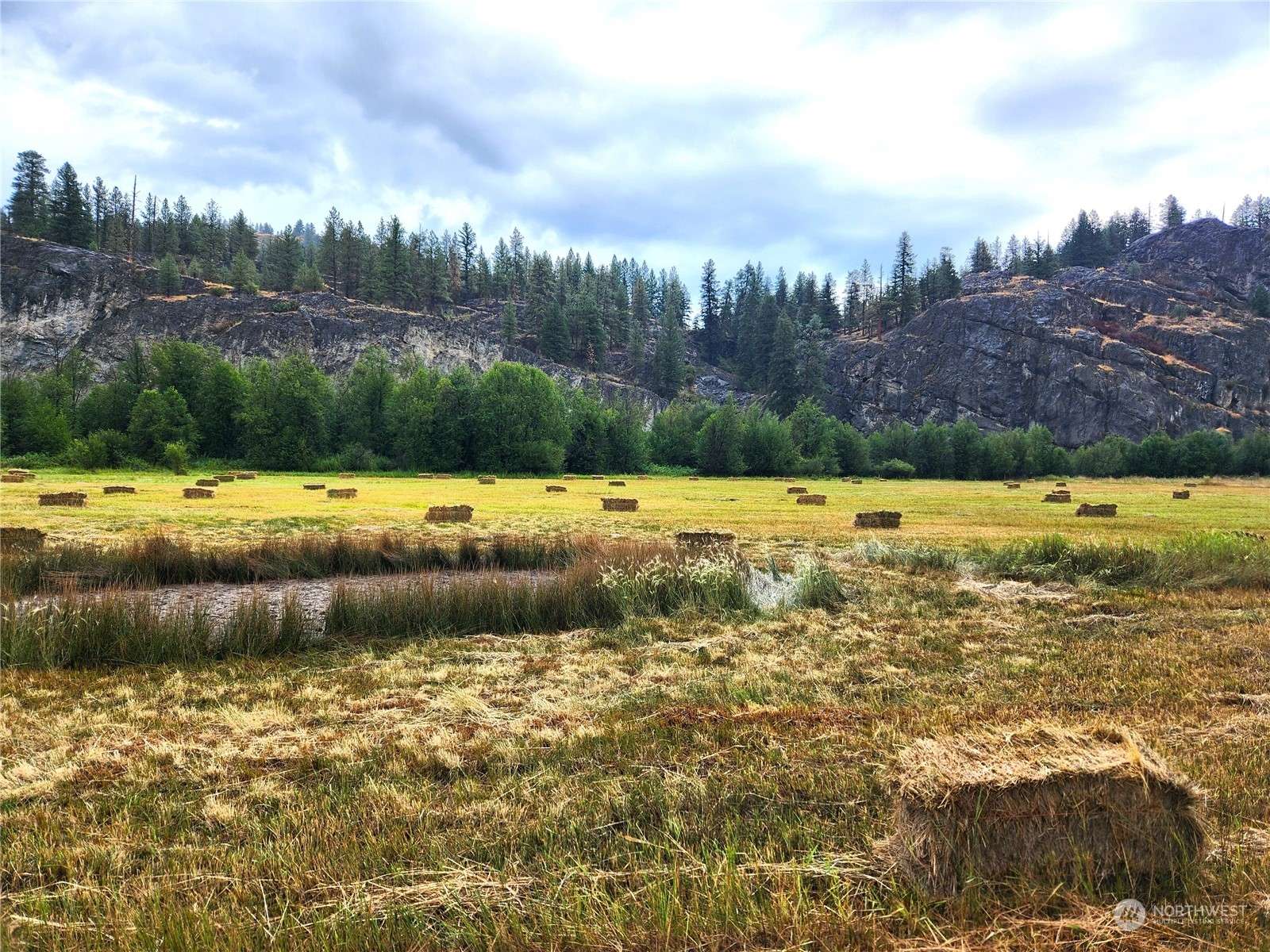 Tonasket, WA 98855,1041 Aeneas Valley RD