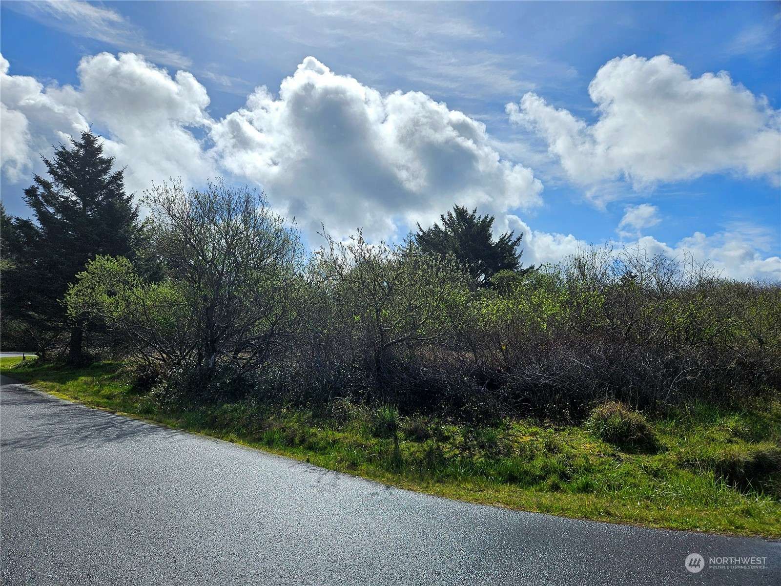 Ocean Shores, WA 98569,634 Canal DR NE