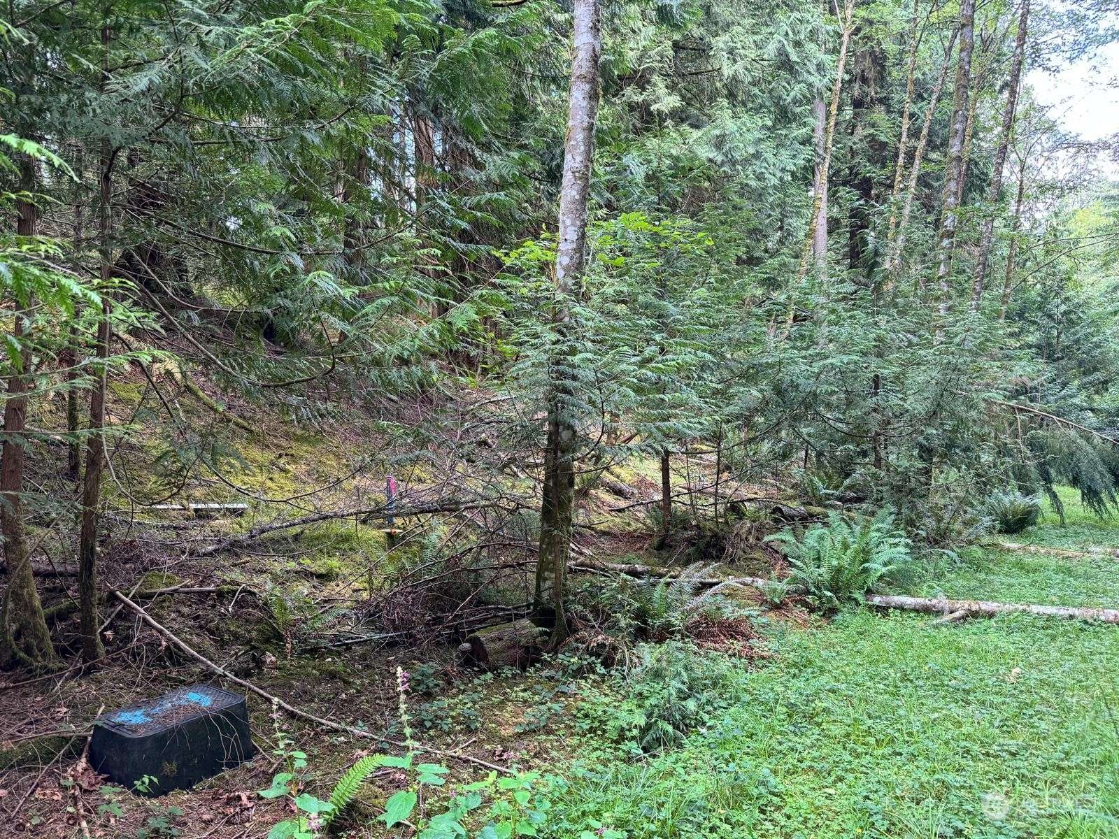 Bellingham, WA 98229,17 Black Bear CT