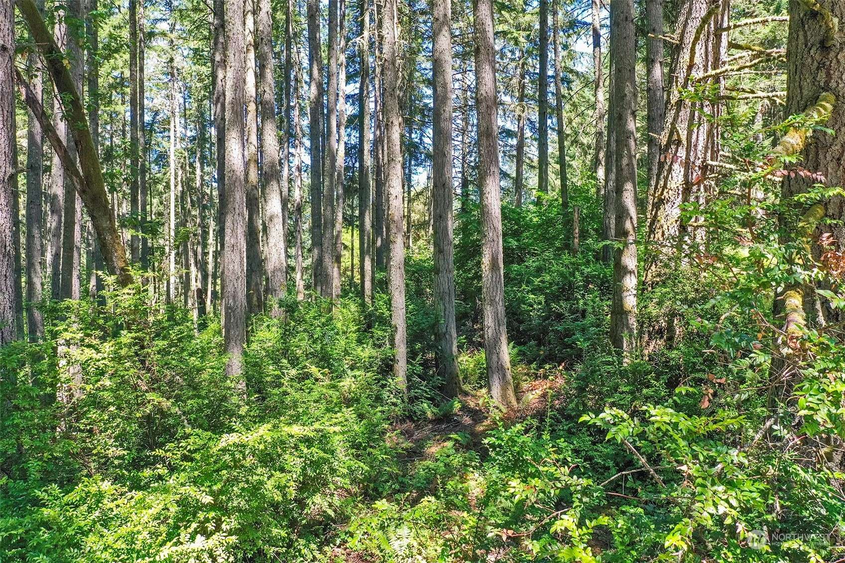 Anderson Island, WA 98303,12315 110th Street Ct