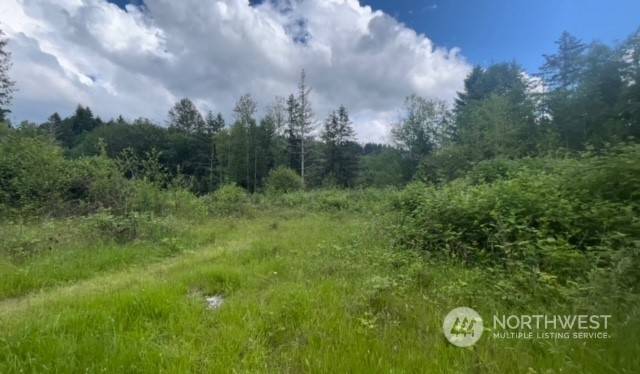 Orting, WA 98360,14702 Lot 9 228th AVE E