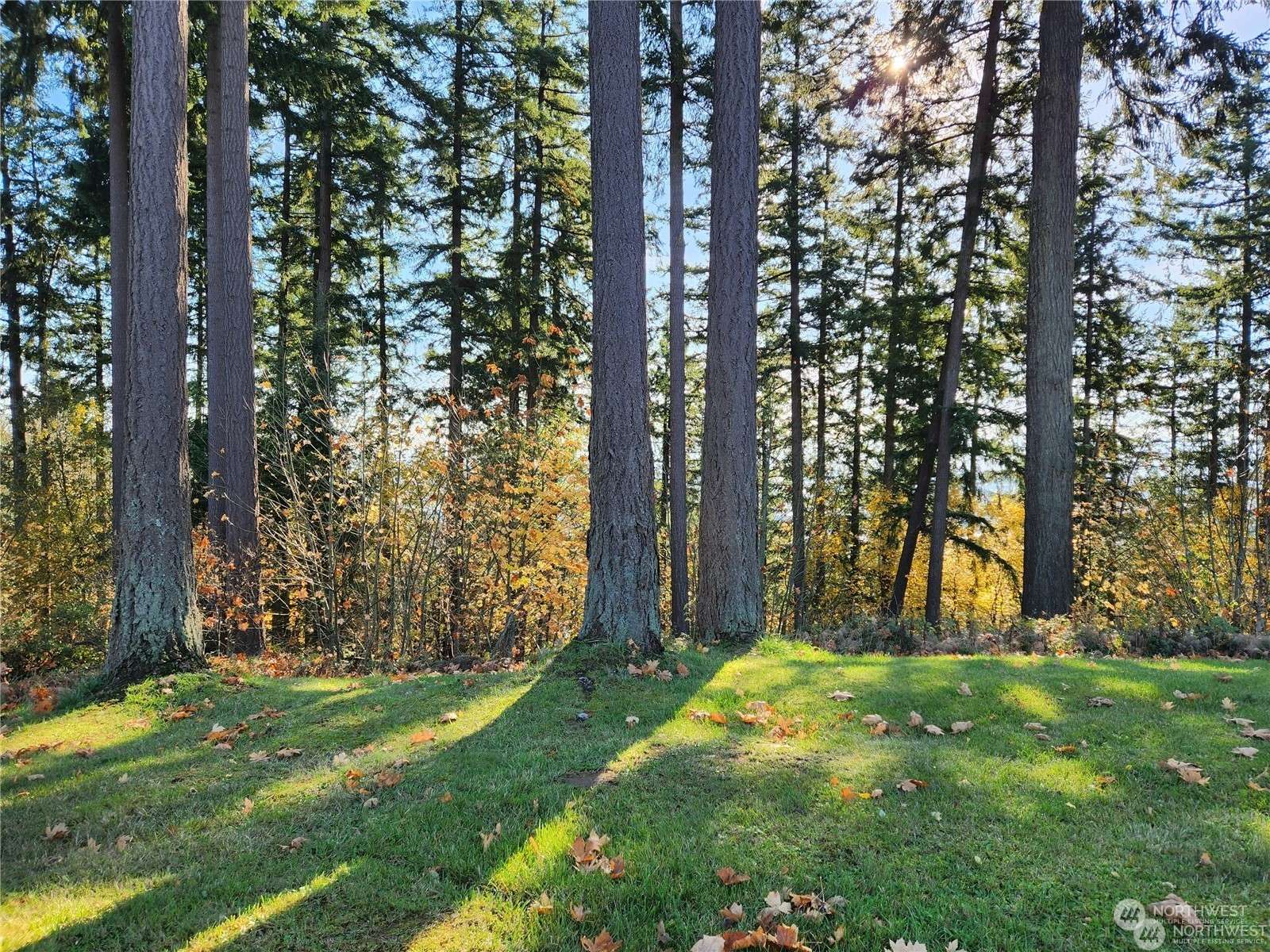 Longview, WA 98632,12 Forest Hill Estate DR