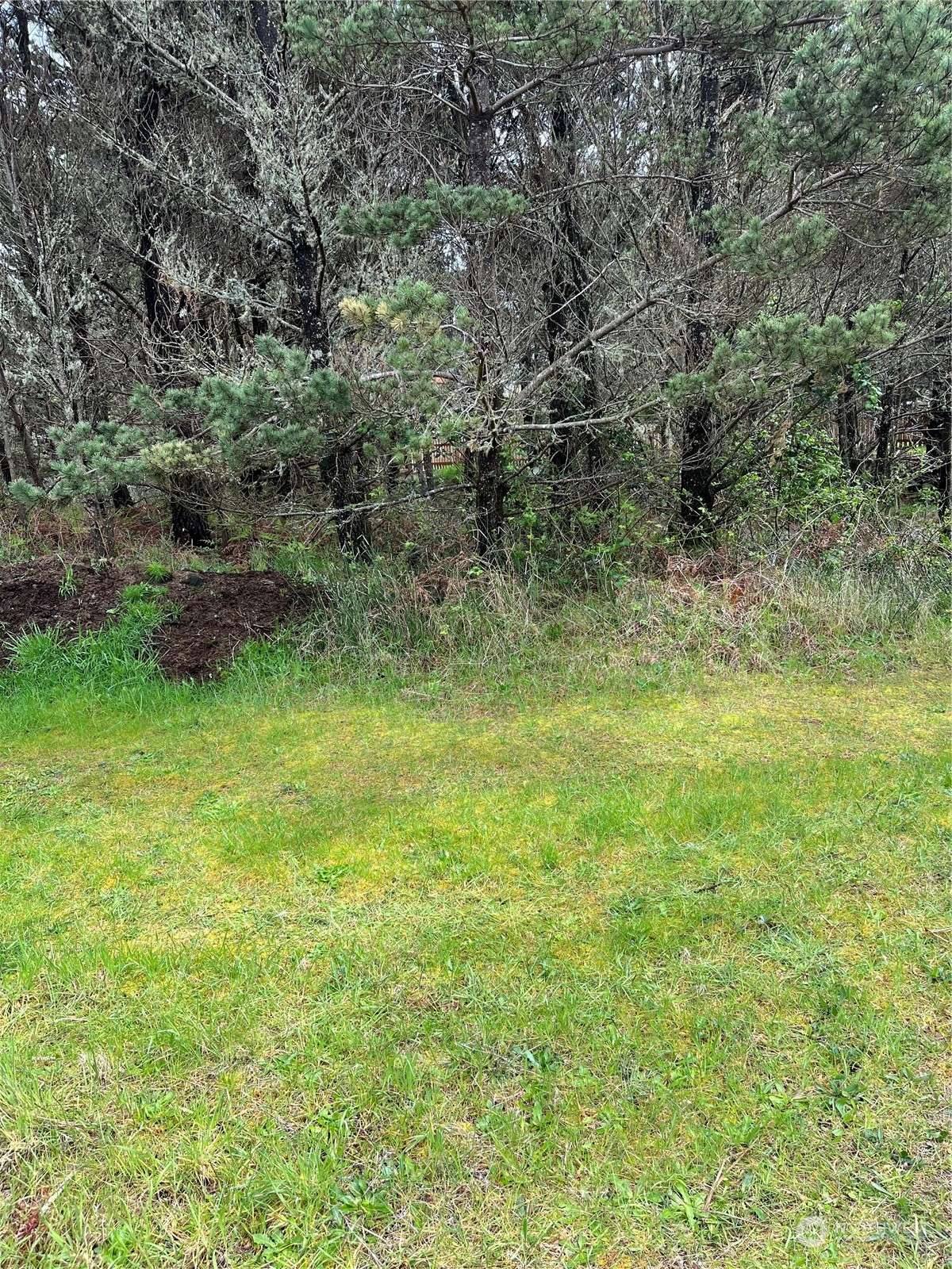 Long Beach, WA 98631,2 XX 6th ST NW