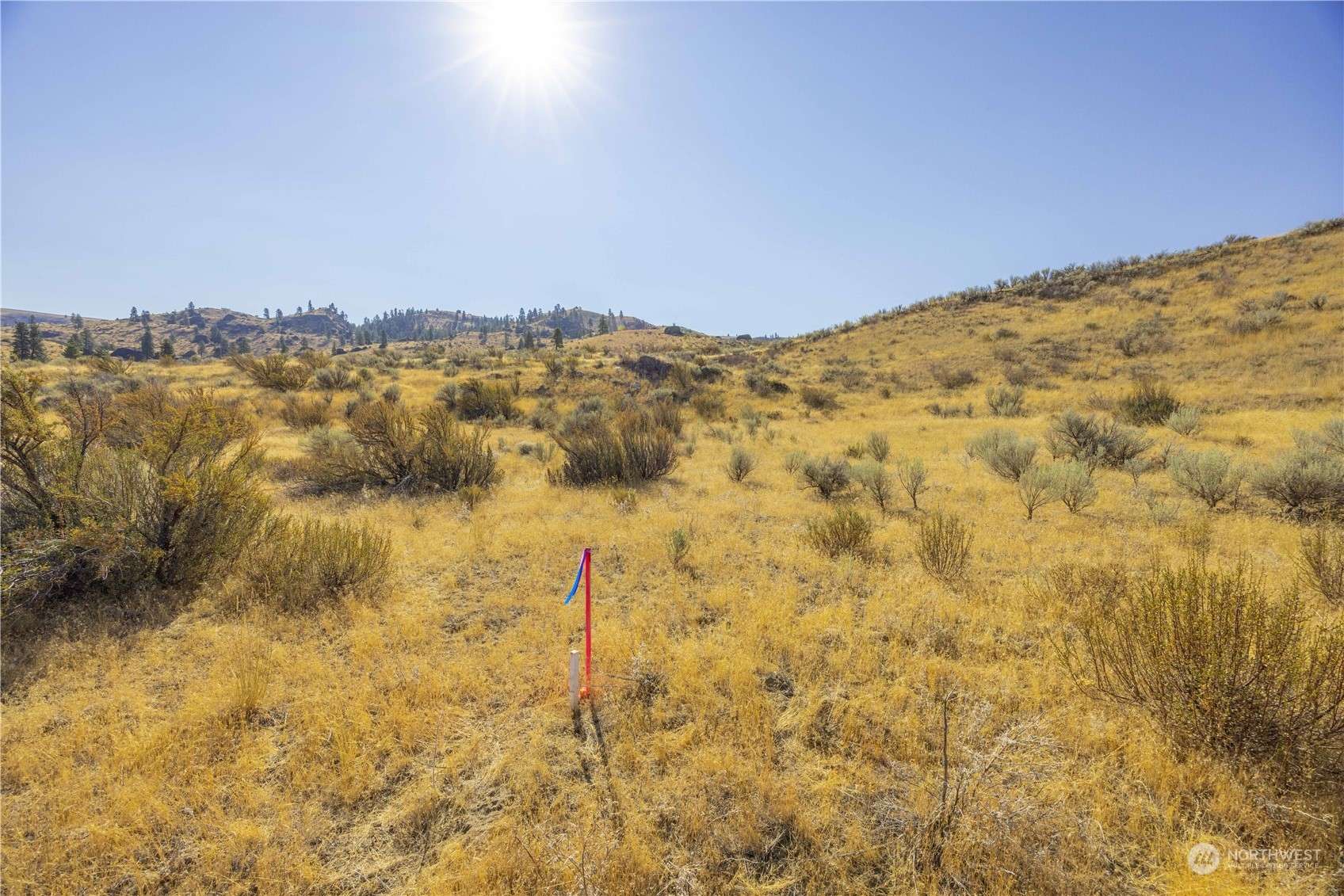 Orondo, WA 98843,0 LOT 3 McNeil Canyon RD