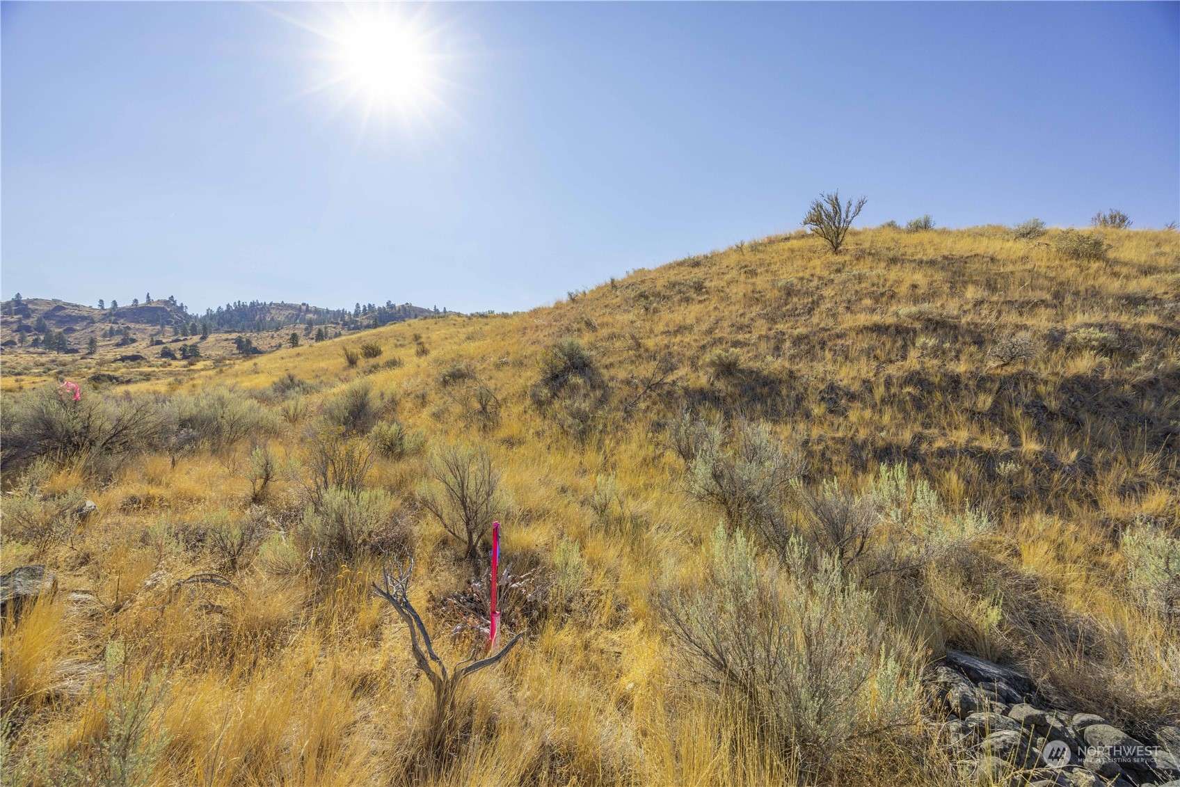 Orondo, WA 98843,0 LOT 3 McNeil Canyon RD