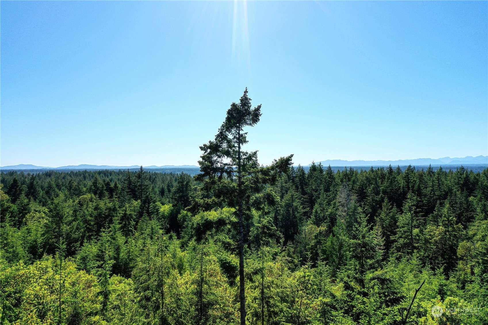 Lakebay, WA 98349,1415 208th AVE SW