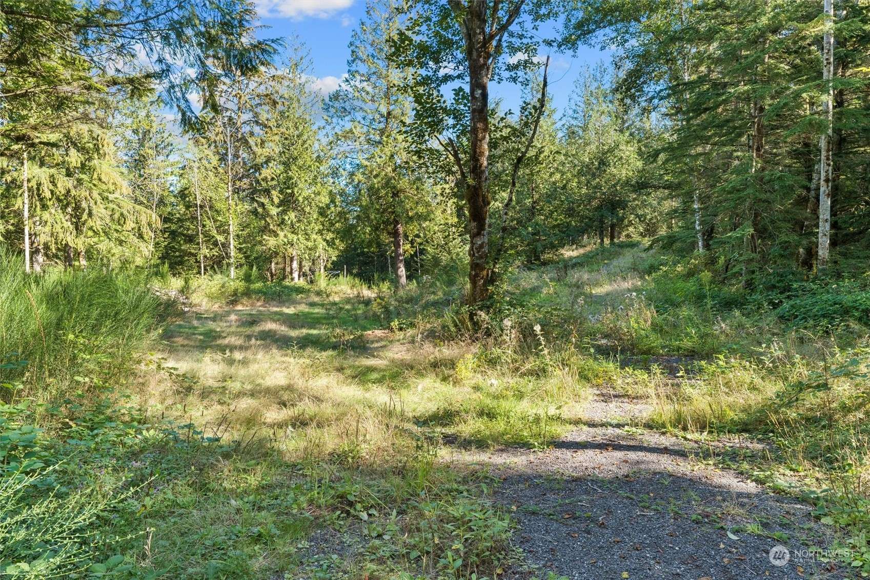 Ravensdale, WA 98051,1 Lake Umek Rd